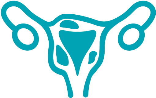 Uterus Icon.